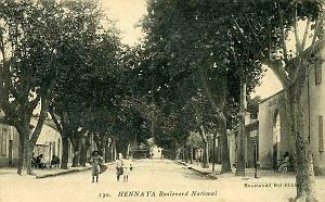 Hennaya 600